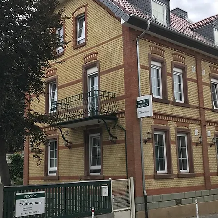Alt-gunsenum
