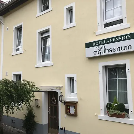 Alt-gunsenum Pensjonat Moguncja